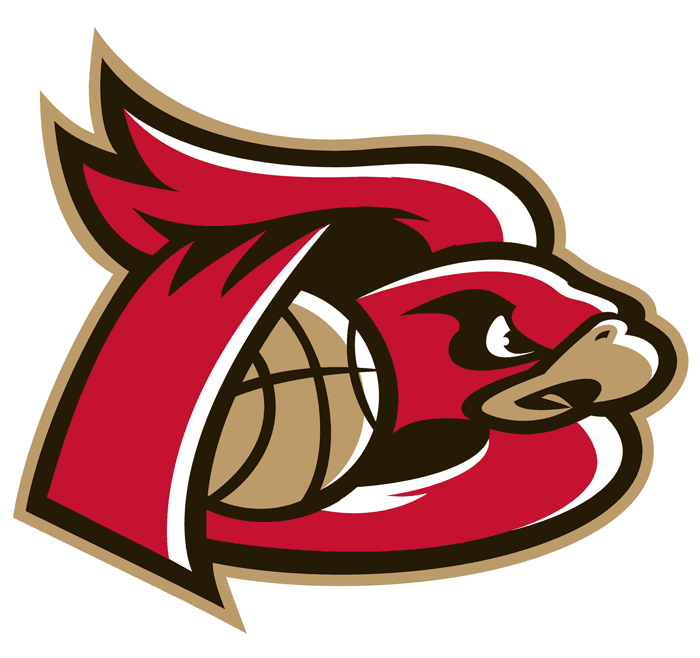 Erie BayHawks 2007-Pres Secondary Logo iron on transfers for T-shirts